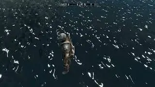 The Elder Scrolls V: Skyrim Найти останки Рейды. ☠️  