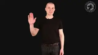 РУССКАЯ ДРУЖИНА, РУССКИЙ МИР! 