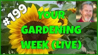 Gardening in an Allotment (Q&A)