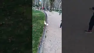 #Pato se queda dormido y viene otro a que lo defienda porque otro 🦆 le persigue