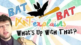 Why does the word bat mean two things?