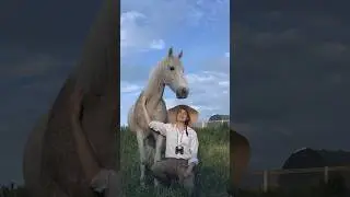 Meet My Morgan Horse Legend 😍