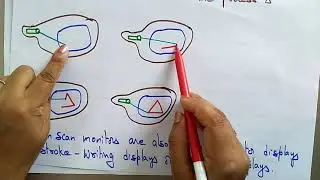 random scan display  | CG | lec-6 | Bhanu Priya