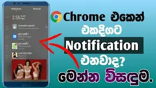 How to stop google chrome Notification | sinhala |