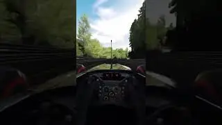 RedBull POV on the Nürburgring 😎