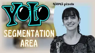 Como Calcular a Área de Segmentação com YOLOv8 | Passo a Passo Detalhado