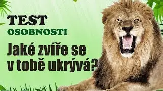 TEST OSOBNOSTI | Zjisti jaké zvíře se v tobě ukrývá