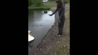 Scary swan : Part 1