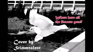 Where have all the flowers gone? ( by Stimmtalent | Inken Paletta) (Original: Pete Seeger)