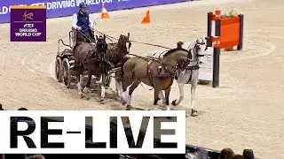 RE-LIVE | Competition 2 - FEI Driving World Cup 2024 - 2025