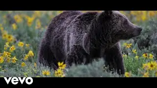 Mumford & Sons - Mumford & Sons and National Geographic Present: Beloved