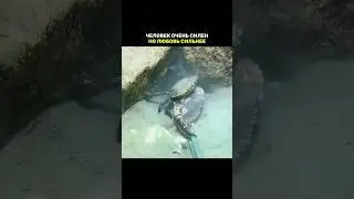Люди совсем разучились любить 🖤 