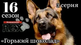 Комиссар Рекс, 16 сезон, 3 серия «Горький шоколад»
