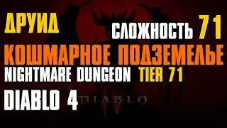 Кошмарное подземелье (Уровень 71) | Уровень мира 4 | Друид | Diablo IV | Nightmare Dungeon Tier 71
