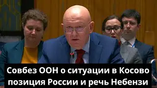 Совбез ООН о ситуации в Косово: позиция России и речь Небензи