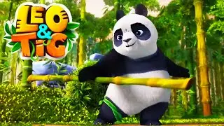 LEO and TIG 🦁 🐯 Collection of all new episodes — The Bamboo Master 💚 Moolt Kids Toons Happy Bear