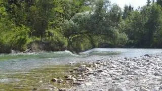 Project 24  - Riverside