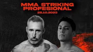 MMA⚡️STRICKING PROFESSIONAL