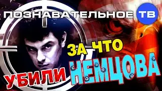 За что убили Немцова? (Познавательное ТВ, Артём Войтенков)