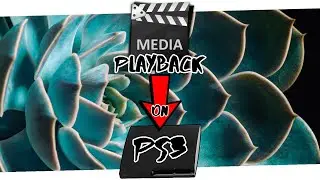 Media Playback on Jailbroken PS3 // PlayStation 3 Modding Made Easy! #shorts