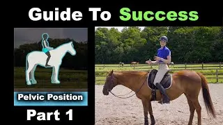 Horse Riding Position: Pelvis
