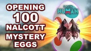 Nalcott Gacha Egg Opening |Surprising Results 