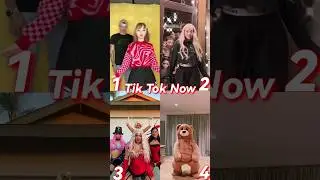 (BEAR)Who'stheBest?1,2,3 or 4?