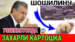 ШОШИЛИНЧ!! НОХУШ ХАБАР УЗБЕКИСТОНДА ЗАХАРЛИ КАРТОШКА ОГОХ БУЛИНГ