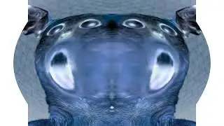 Numa Cat In Zooopals effect V3 Cunfunsion