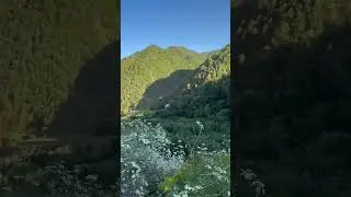 Ромашковый эстет 🤍🌼🤍🌼#Бежта #ромашки #эстетика 🫶🏻🤍🌼