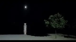 [10 Hours] Slightly Drunk Night on a Bali Beach - Video & Soundscape [1080HD] SlowTV