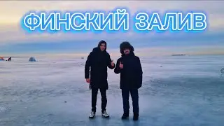 Финский залив | Путешествие по холодным уголкам Петербурга