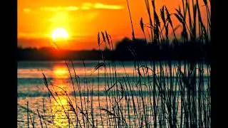 Liquid Drum and Bass Mix 2024 #13