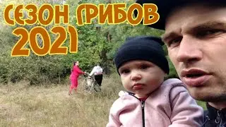 СЕЗОН ГРИБОВ 2021.БЕЛЫЙ ГРИБ, МАСЛЯТА, ПОЛЬСКИЙ, РЯДОВКА.ЖАРИМ БЕЛЫЙ ГРИБ И МАСЛЯТА😊МНОГО ГРИБОВ🍄🏞️🍄