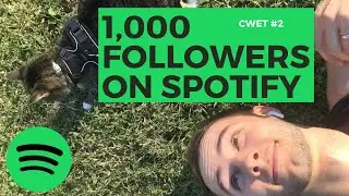 How I Got My First 1,000 Followers on Spotify (Cat Walks and EDM Talks No. 2)