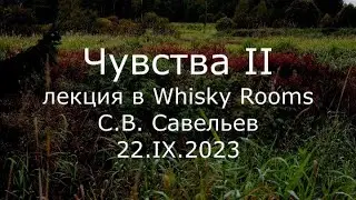 С.В. Савельев - Чувства II
