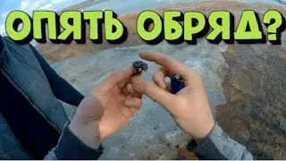 Search with a metal detector on the beach. Search 2023