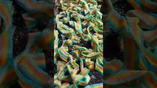 Rainbow Bacon