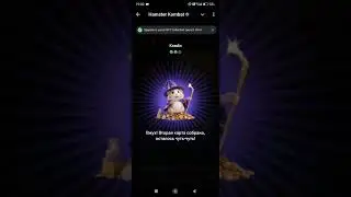 Комбо карты Hamster Kombat 22 - 23 августа 2024: карты, секреты и как найти комбо сегодня в Хомяке
