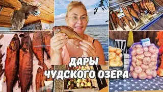 Цены на копченую рыбу,грибы,лук.Яблоки бесплатно.Озеро Саадярв в Эстонии.Рыбная деревня на Чудском