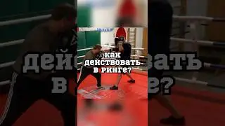 Как действовать в ринге? 