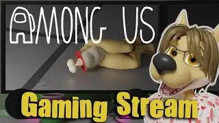 Among Us casual stream