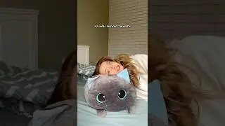 мяу! кот-кругляш на Wb: 234569065 💓