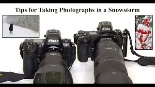 Tips for Taking Photographs in a Snowstorm
