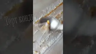 Роскошь кондитеров😋