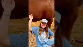 When Your Friends an Equestrian! 🐴 