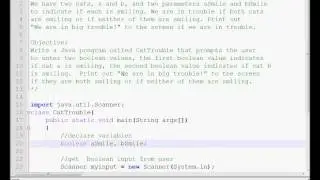 Exercise 3 Week 2 - Java Tutorial Cat Trouble IF Else Statements Boolean Values