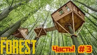 Домик на дереве !!! Строим все что видим!  | The Forest | Прохождение #3 | Выживание в The Forest