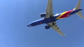 IMG 1616
