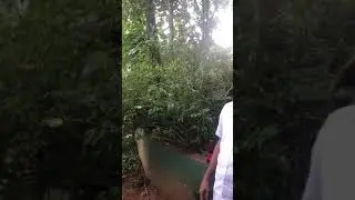 Sri Lanka Benefits of red oil